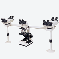 HINOTEK XSZ-N304 Multi-Viewing Microscope
