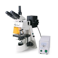 HINOTEK XYL-146Y Epi-fluorescence microscope (4X-100X)