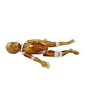 True Phantom Solutions FB-P01 Pediatric Full Body For X-Ray CT, MRI