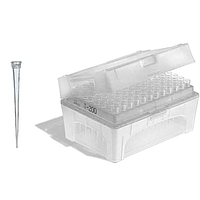 PHYWE 47148-10 Pipette Tips (0.5 - 20 µl, 480 pcs)