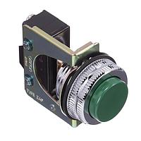 Omron Automation and Safety ZAP-1G DIP Switches Non-lighted PB Green,SPDT