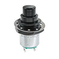 Amphenol Nexus Technologies NX301GB1B-61 Standard Switches Switch with terminal lgs, wshrs, scws, nt