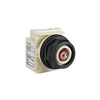Square D 9001SKP38LR Indicators PILOTLIGHT 120V 30MM SK