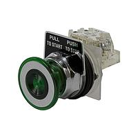 Square D 9001KR9GH13 Push-Pull PSH BTTN 600VAC 10A 30MM, Type K