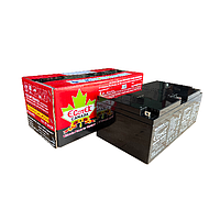 Santak ECT-UP1226VA3 Ecotek Batteries (12V, 26Ah)