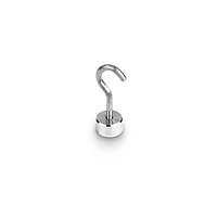 KERN 347-016 Individual Weight (M1, 1g)