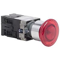 SCHNEIDER XB2BN111 Pushbutton Switches PUSHBUTTON 22MM XB2B