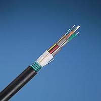 Panduit FOWNX06 Multimode 50um OM3 6 Fiber Outside Plant Armored (