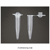 DaiHan DH.Tub3102 Tube, PCR, PP, 0.2㎖, with Attached Flat Cap