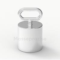 Masseprazise MPT-E2-50kg Individual Weight (50kg)