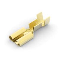 AMP Connectors - TE Connectivity 41202 Receptacle .25 FAST REC 18-14 Reel of 11000