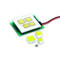 RAFI 5.05.511.481/2300 Square MICON 5 Plunger 18 x 18 mm H 12.5 rd