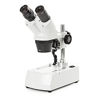 Euromex 50.931 Binocular stereo microscope AP-8-LED (WF10x/20mm,  20x/40x)