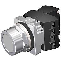 SIEMENS 52PM8A6C Flush PUSHBUTTON,MOM,GRY,FLUSH,2POS,3NO-3NC