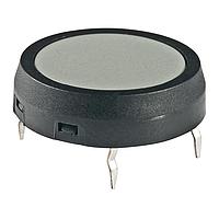 NKK Switches JF15CP2H Tactile Switches SPST RND/RND GRAY