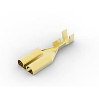AMP Connectors - TE Connectivity 170304-2 Receptacle 250SERIES FASTON REC