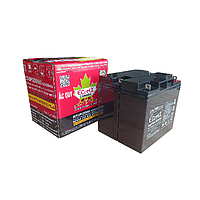 Santak ECT-UP1220VA3 Ecotek Batteries (12V, 20Ah)