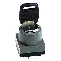 RAFI 3.13.026.011/0000 Keylock Switches MICROMEC Keylock switch IP54 2x90