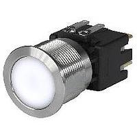 Schurter 3-101-011 Standard Switches 16A, 250VAC 19mm 2 POLE BRIGHT WHT