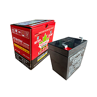 Santak ECT-RA125VA1 Ecotek Batteries (12V, 5Ah)