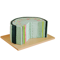 PHYWE MOD-DICOT Dicot Stem Structure Model (34 x 28 x 18 cm)