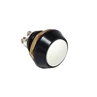 E-Switch PV5S24019G Anti-Vandal Anti-vandal, SPST, Off-(On), Panel Mount, Front, Red, IP65