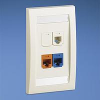 Panduit CFKE4A6U6J5AMA Modular Connectors / Ethernet Connectors Faceplate 4 Port Exec 2 Cat6 1