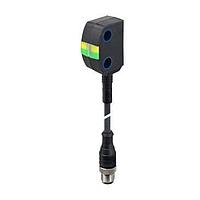 Omron Automation and Safety D41D-2CD-025N2 Door Switch D41D sensor w/ cable 0.25, M12