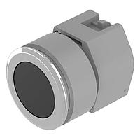 EAO 704.012.018 Pushbutton Non Illum 30.5mm PSHBUTN