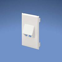 Panduit T70FV2EI Power Rated Fitting Snap-on Vertical Sloped Communication Fa